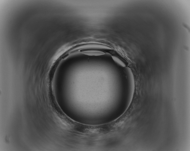 X0000096460295200801311518