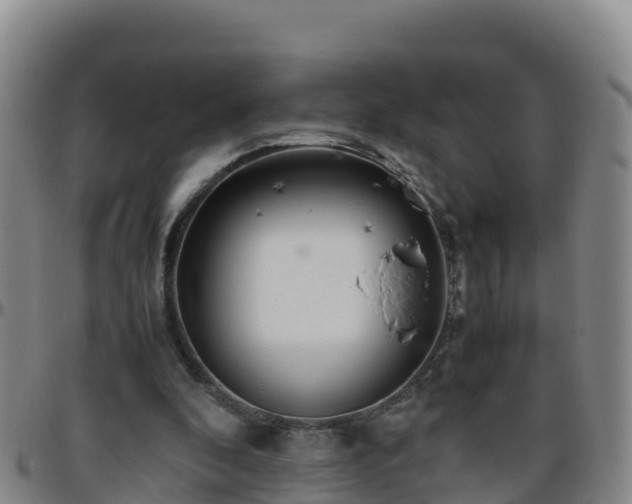 X0000096460296200801311518