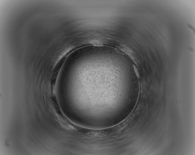 X0000096460297200801311518