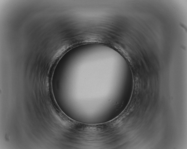X0000096460298200801311518