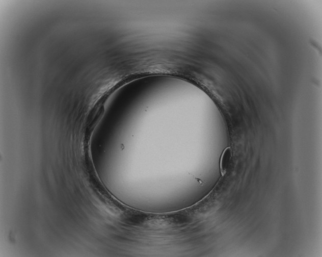 X0000096460299200801311518