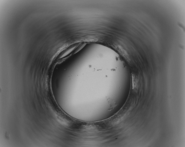 X0000096460300200801311518