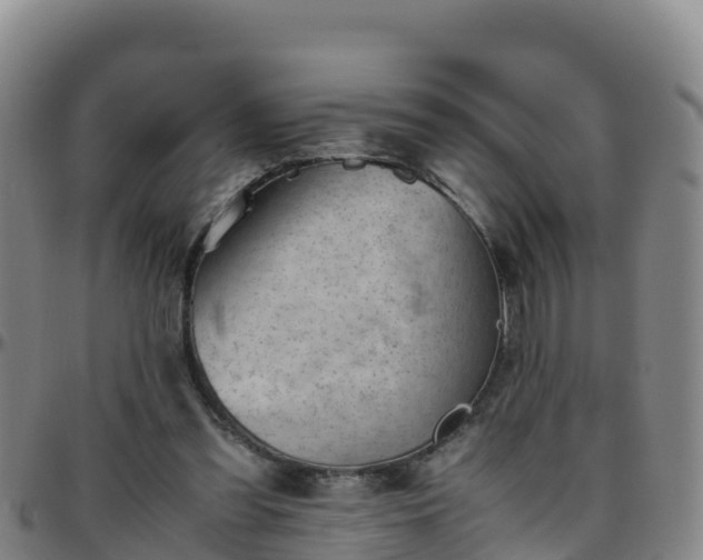 X0000096460301200801311518