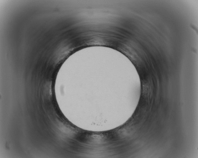 X0000096460302200801311518