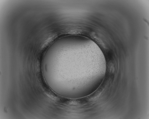 X0000096460303200801311518