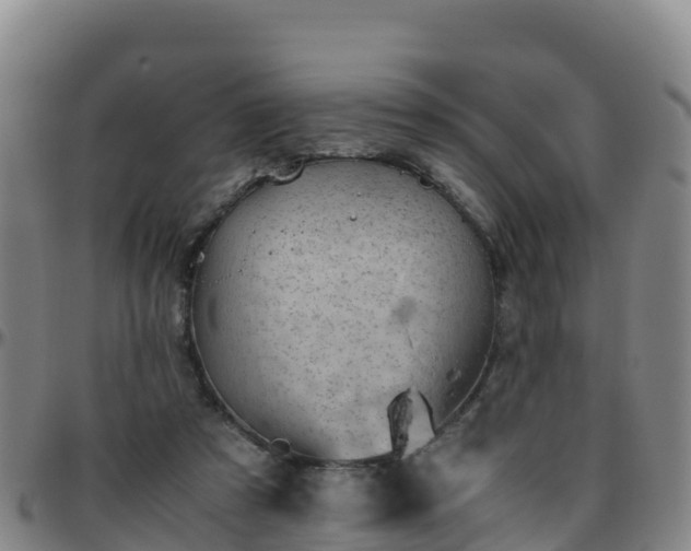 X0000096460305200801311518