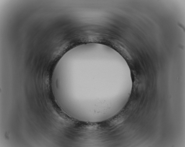 X0000096460306200801311518