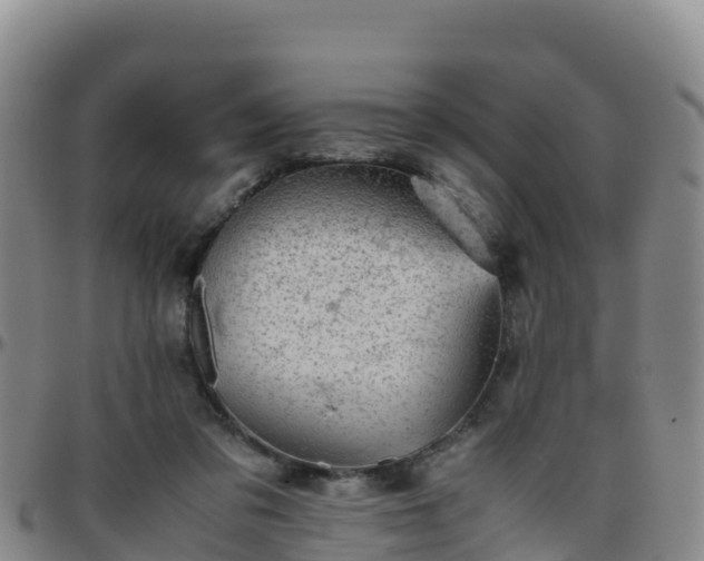 X0000096460309200801311518