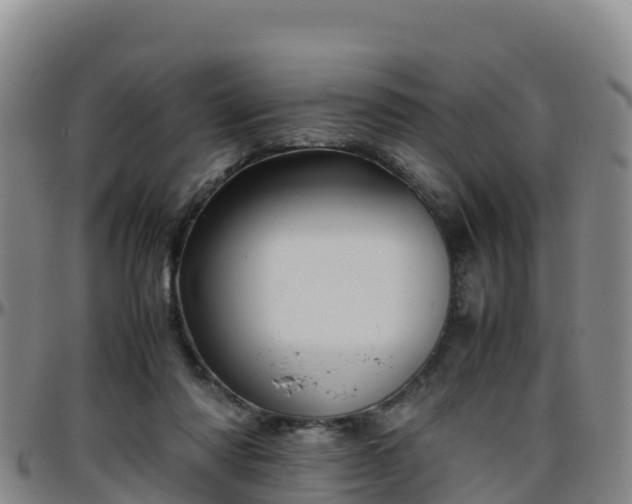 X0000096460310200801311518