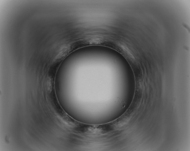 X0000096460311200801311518