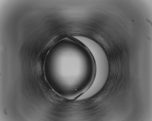 X0000096460312200801311518
