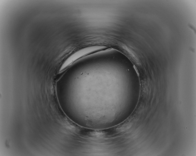 X0000096460313200801311518