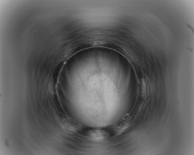 X0000096460316200801311518