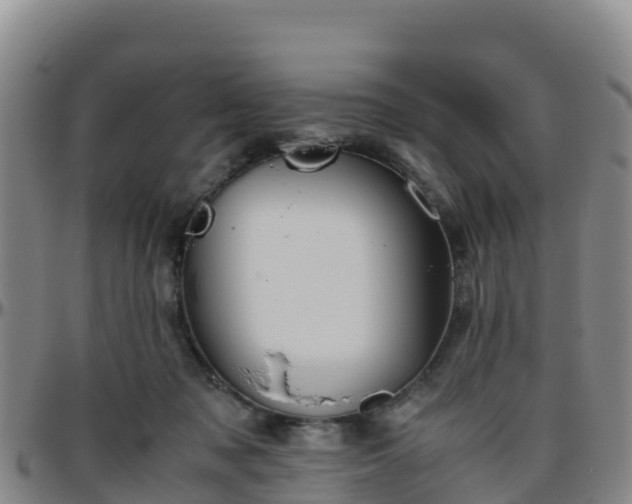 X0000096460317200801311518