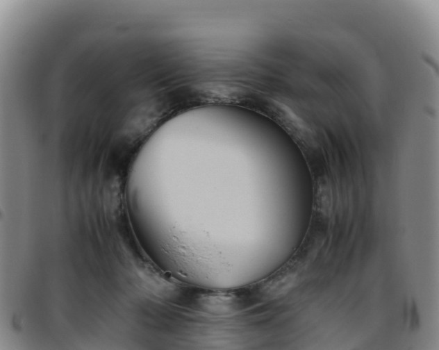 X0000096460318200801311517