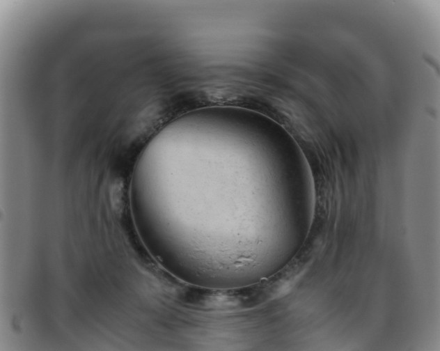X0000096460319200801311517