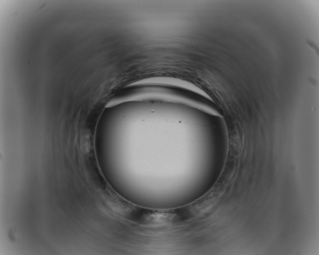 X0000096460323200801311517