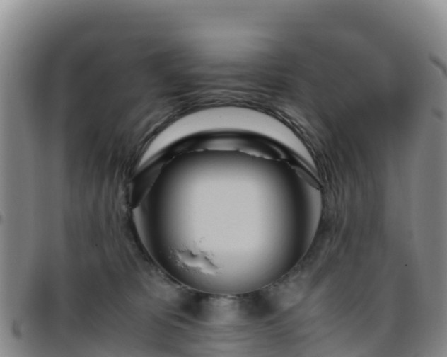 X0000096460325200801311517