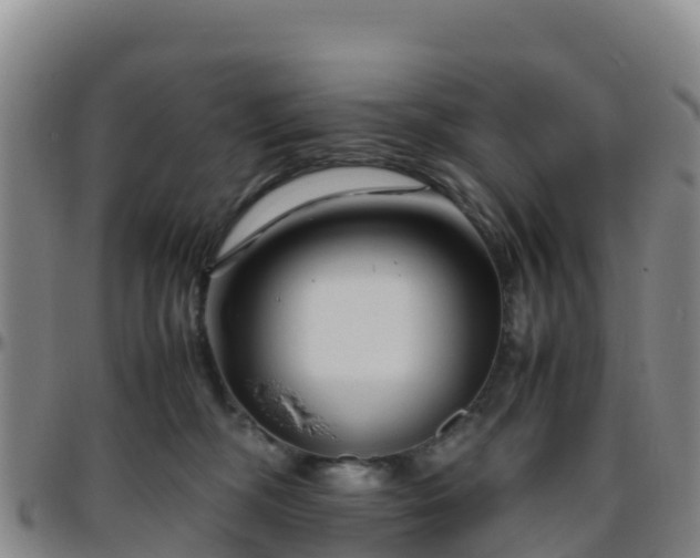 X0000096460326200801311517
