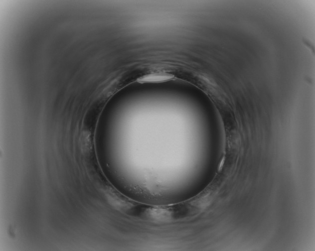 X0000096460327200801311517