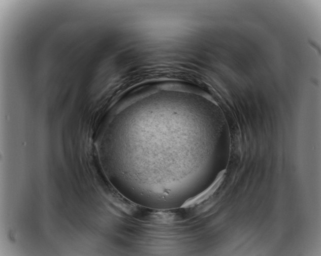 X0000096460328200801311517