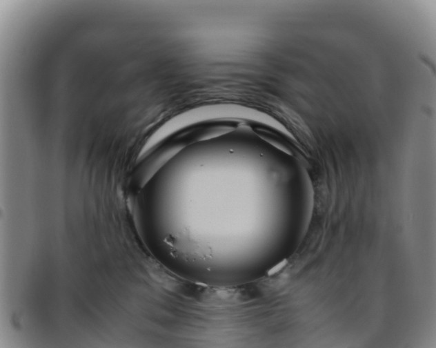 X0000096460329200801311517