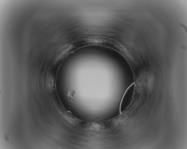 X0000096460330200801311517
