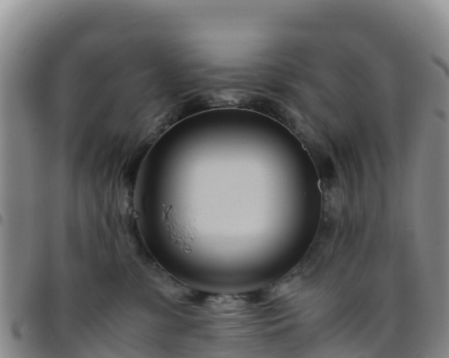 X0000096460331200801311517