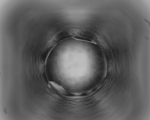 X0000096460332200801311517