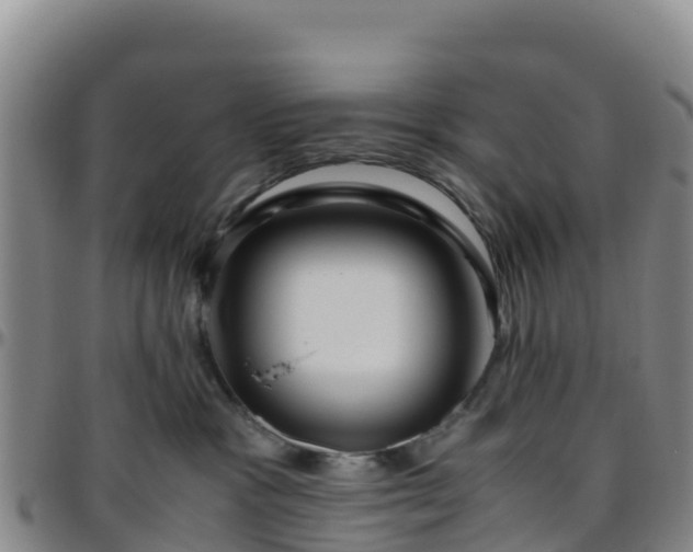 X0000096460333200801311517