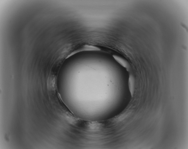 X0000096460336200801311517