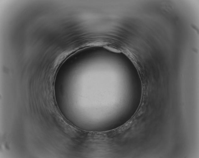 X0000096460337200801311517