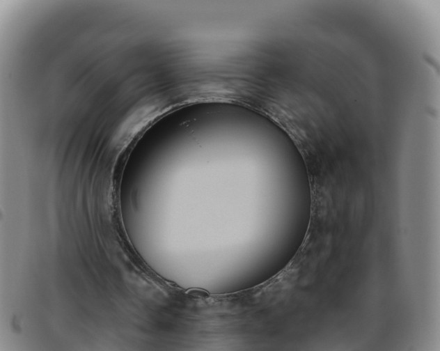 X0000096460338200801311517
