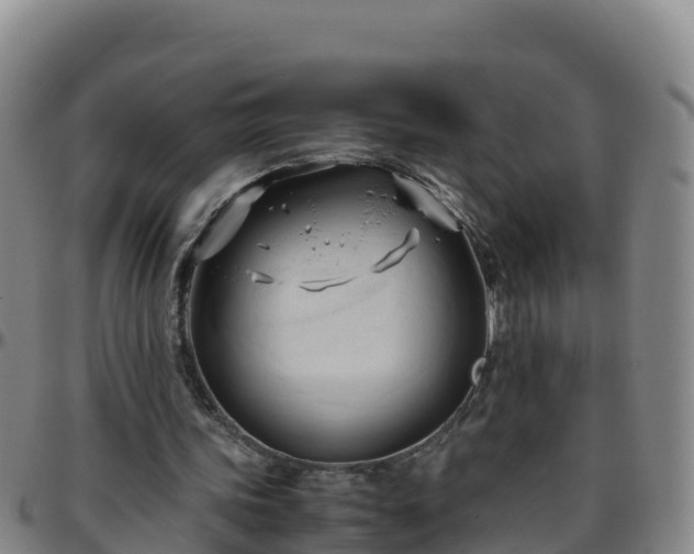 X0000096460339200801311517