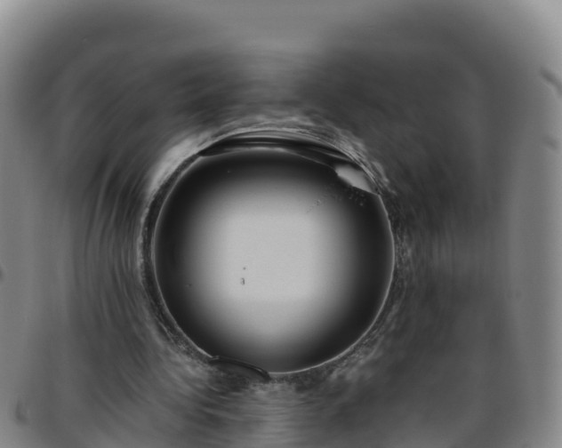 X0000096460340200801311517