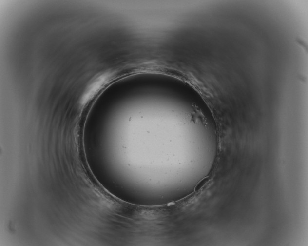X0000096460341200801311517