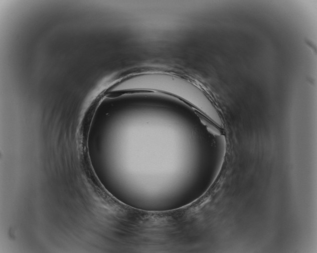 X0000096460343200801311517