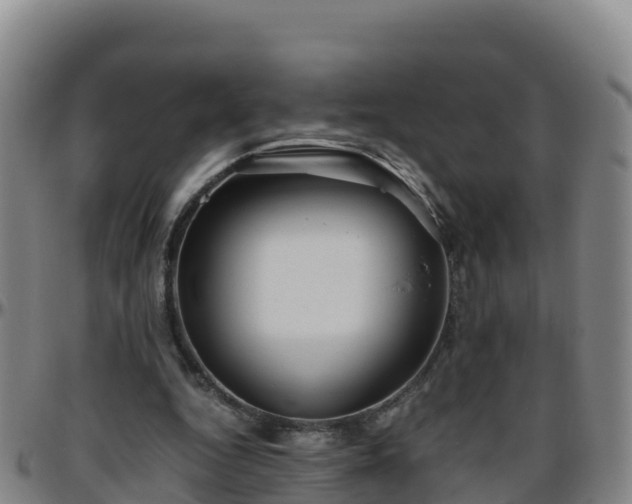 X0000096460344200801311517