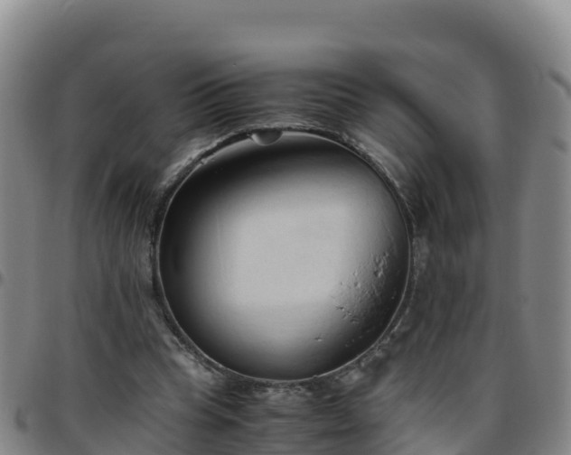 X0000096460345200801311517