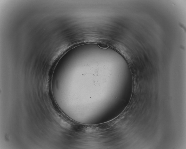 X0000096460346200801311517