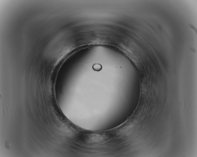 X0000096460347200801311517