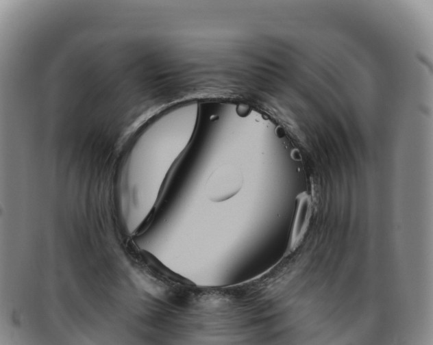 X0000096460348200801311517