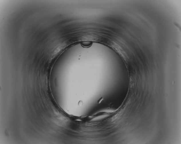 X0000096460349200801311517