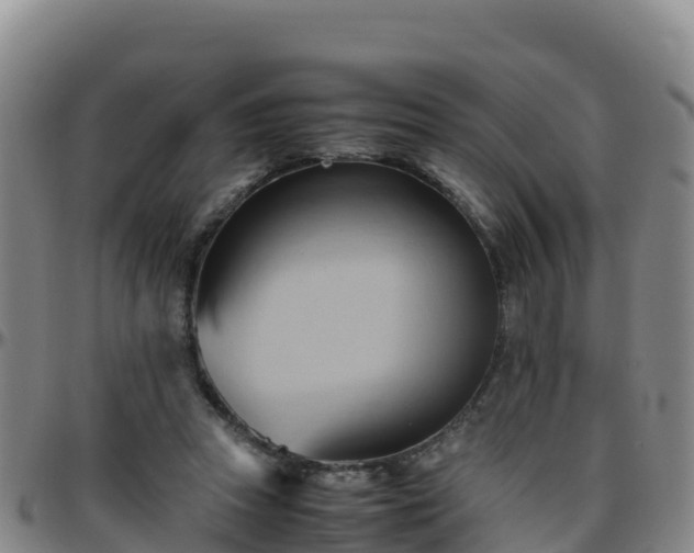 X0000096460353200801311517