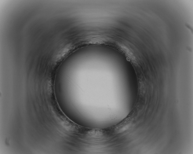 X0000096460354200801311517