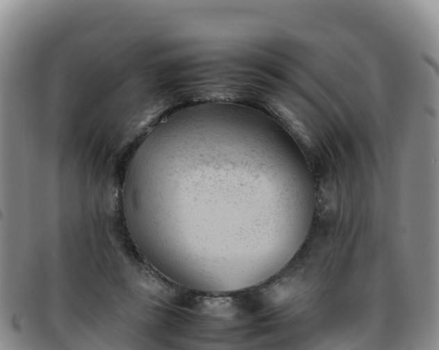 X0000096460355200801311517
