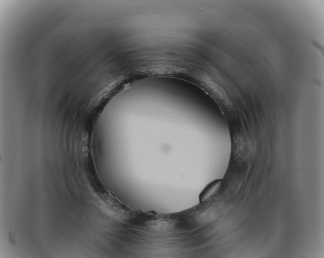 X0000096460356200801311517