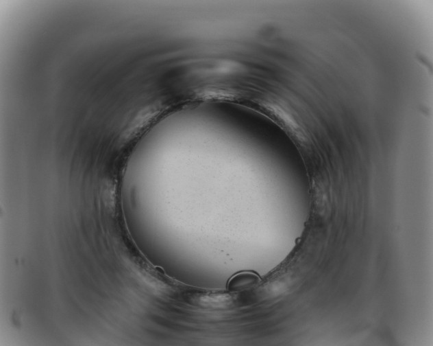 X0000096460357200801311517