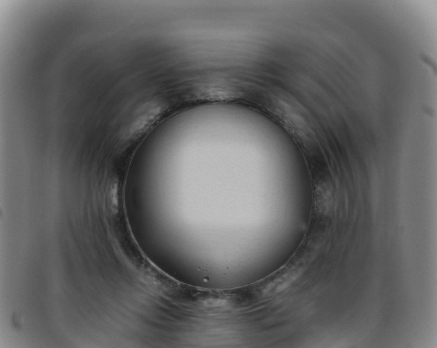 X0000096460358200801311517