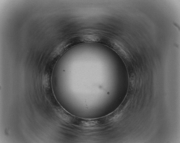 X0000096460359200801311517